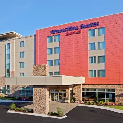 SpringHill Suites Chattanooga Downtown/Cameron Harbor Hotels near Coolidge Park Antique Carousel