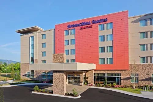 SpringHill Suites Chattanooga Downtown/Cameron Harbor - Balkon