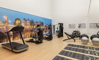 a well - equipped home gym with various exercise equipment , including treadmills , elliptical machines , and weight machines at NH Amsterdam Schiphol Airport