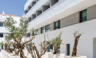 Evora Olive Hotel