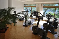 Hotel Geranio Au Lac Hotels in Muralto