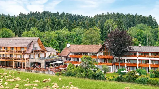 Hotel Gruner Wald