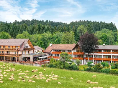 Hotel Grüner Wald Hôtels à : Waldachtal