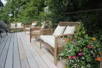 Cobble Wood & Bird Sanctuary Guest Houses Hotels in Tofino