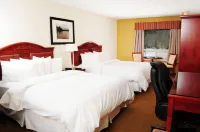 Trend Mountain Hotel & Conference Centre Hôtels à : Tumbler Ridge