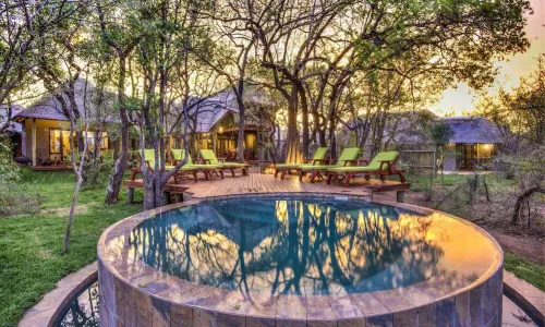 Tambuti Lodge