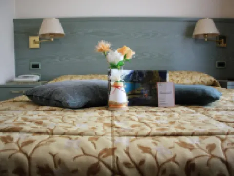 ホテル ヴィラ リナ ボルミオのホテル