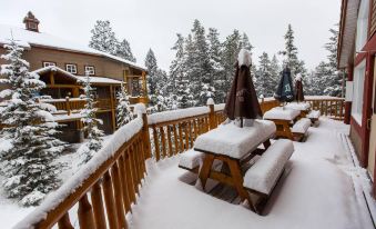 HI Banff Alpine Centre - Hostel