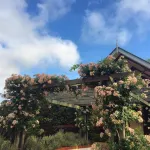 Tamborine Gardens فنادق في Wongawallan