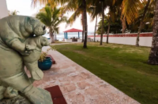 วินทานา อัล อตลันติโก ที่ อาเรซิโบ 681 โอเชี่ยน ไดรฟ์