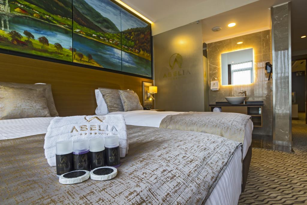 Aselia Hotel Trabzon