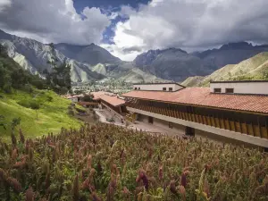 엑스플로라 바예 사그라도