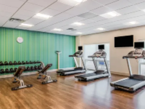 Holiday Inn Express & Suites TAMPA NORTH - WESLEY CHAPEL by IHG Hotels in Pasco County