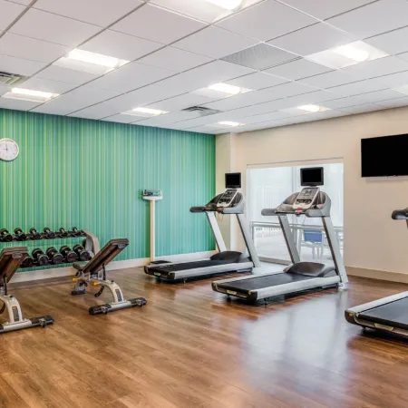 Holiday Inn Express & Suites TAMPA NORTH - WESLEY CHAPEL by IHG
