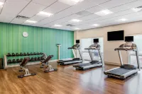 Holiday Inn Express & Suites TAMPA NORTH - WESLEY CHAPEL by IHG