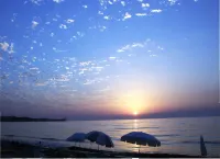 Nireas Resort Corfu - Pet-friendly
