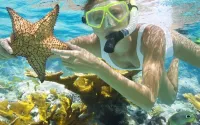 Harapan Solata Homestay Hotels in Thousand Islands