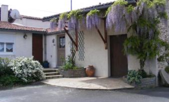 Chambres d'Hôtes Vignes et Loire
