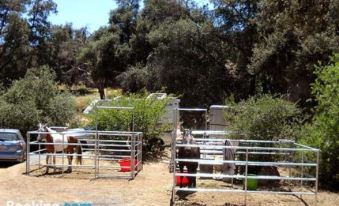Oakzanita Springs Camping Resort Cottage 4