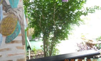 Pousada Joãozinho Caminhador - Housity