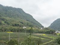 天台山龙鱼水寨酒店 - 酒店附近