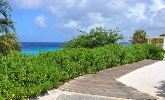 Hibiscus Beach House