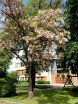 Gasthof Maxlhaid