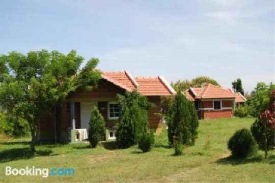 Masinagudi小木屋度假村