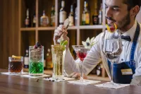Portus Cale Hotel - Baarit