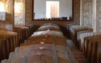 Agrihotel Elisabetta Hotels in Castellina Marittima