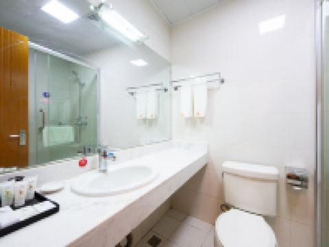 格林东方酒店(安庆新市政府店) - 高级大床房