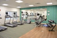 Holiday Inn Express & Suites Toledo South - Perrysburg Hoteles en Bowling Green