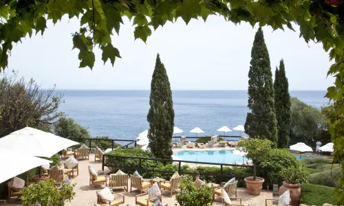 Il Pellicano