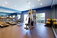 Holiday Inn Houston-Webster Hotels in Webster