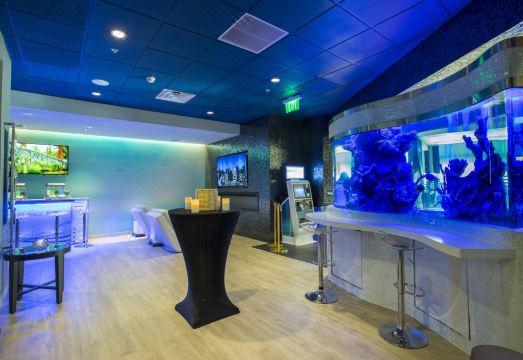 쉐라톤 수영장 내부