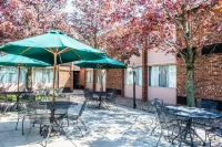 Comfort Inn & Suites Hotel di Verona