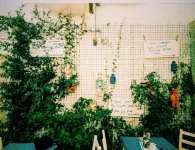 Mavi Ege Pansiyon - pet friendly