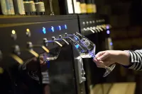 Hotel Trapp فنادق في روديشيم