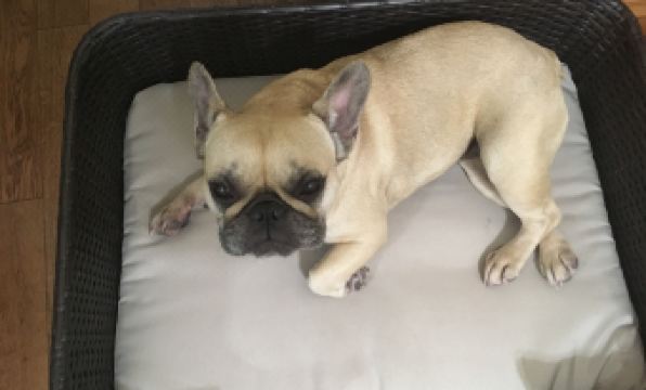 Holiday Inn Express & Suites Clarington - Bowmanville