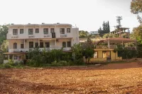 Eucalyptus Pension Hotels in Gelemiş