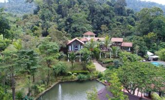 an aerial view reveals a central house and pond, encircled by neighboring residences at Fifty4Ferns