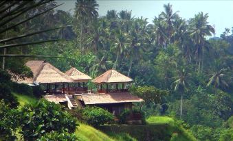 Villa Santai