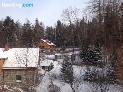 Apartament Sniezna Sowa