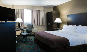 Holiday Inn Niagara Falls-Scenic Downtown, an IHG Hotel