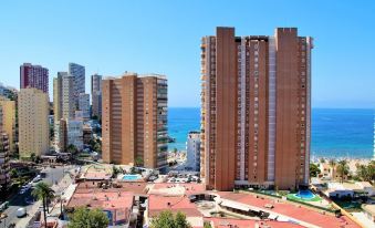 Apartamento Albatros 15 - 7