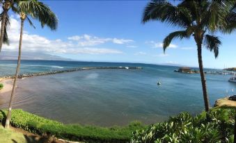 Maalaea Yacht Marina 309 2 Bedrooms 2 Bathrooms Condo