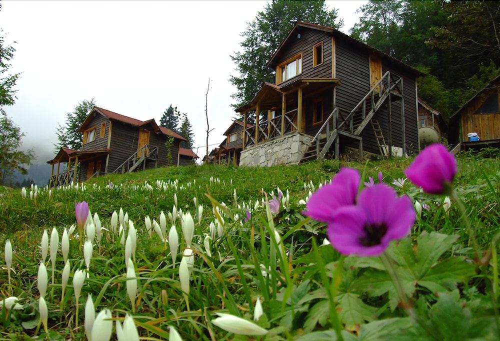 Zitas Otel Zigana Yayla Tatil Koyu