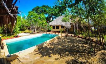 Gecko Nature Lodge Home of Swahili Divers the Best Dive Center and Famous Gecko Restaurant