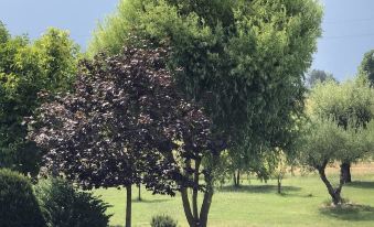 Residenza Cantalupo
