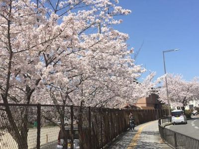 Guest house Osaka B & B Sleeps 4 People Convenient Transportation Host Friendly Hospitality